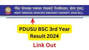 PDUSU BSC 3rd Year Result 2024 